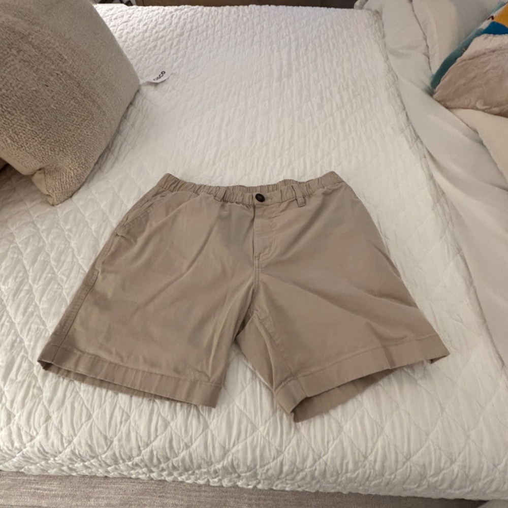 Chubbies shorts
